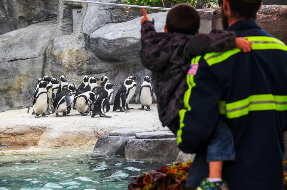 teen takeover denver zoo